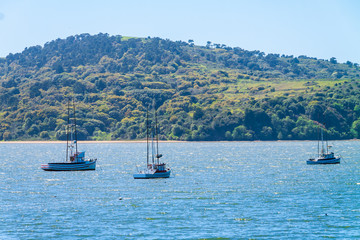Small Fishing Boats Anchored in Tomales Bay, Pt. Reyes National Sea Shore,California,USA