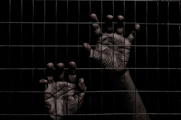 female hands behind a fence made of mesh on a black background