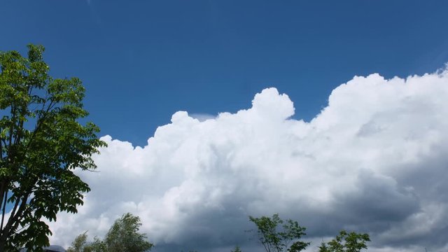 太平洋高気圧の湧き上がる入道雲