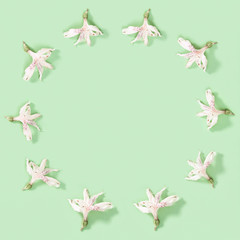 Floral decorative frame from dry white flowers on soft green.