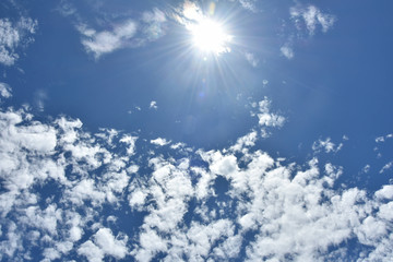 Nature, Wild And Animals