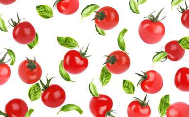 Many whole tomatoes and basil leaves falling on white background