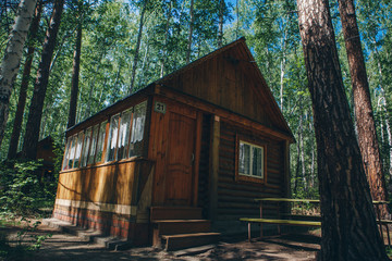 summer wooden house in a birch grove. camping in the woods. tourist base for travelers ' recreation. eco-friendly construction