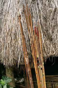 Various bamboo arrows placed near house with thatched roof in traditional tribal village