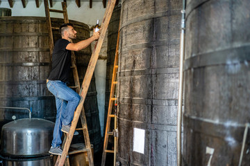 Side view full length positive male winemaker in jeans and black shirt with bottle of wine climbing on big wooden barrel by using ladder