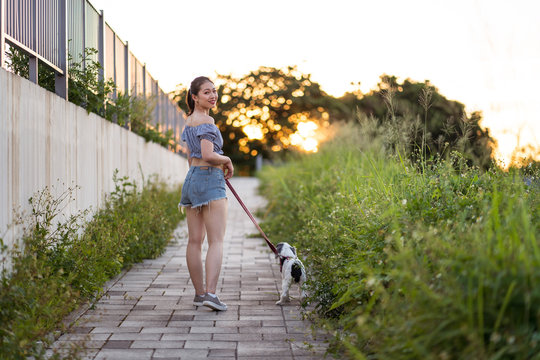 Back view of Asian female in casual wear strolling with American Cocker Spaniel on pathway between green grass under serene sky on sunny day looking at camera