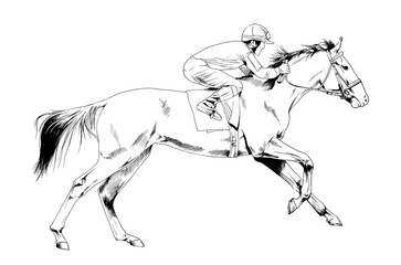  a galloping horse painted with ink by hand on a white background