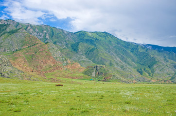Fototapeta na wymiar Beautiful mountains Altai summer landscape