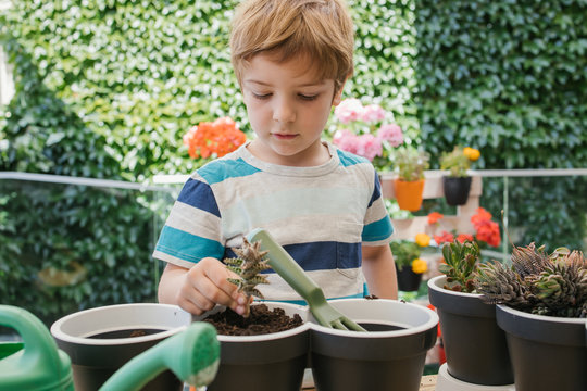Adorable child in casual wear using plastic garden fork while loosening ground in pots with cacti standing behind blooming flowers and hedge in sunlight