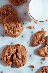 Chocolate Chip Cookies and Milk 
