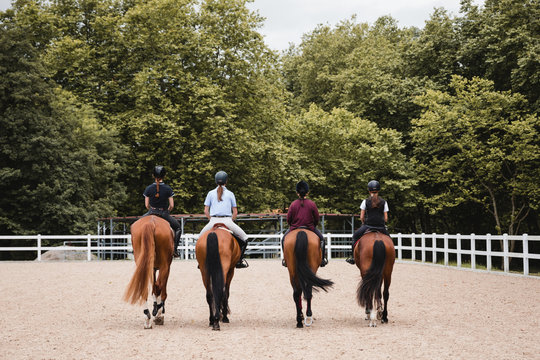 Back view of company of female jockeys in uniform in saddles riding chestnut horses on sandy arena