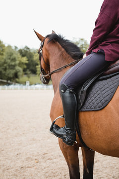 Side view of unrecognizable crop female equestrian riding chestnut horse during dressage in park