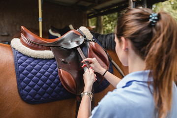 Back view of serious female equestrian putting saddle on chestnut horse before dressage