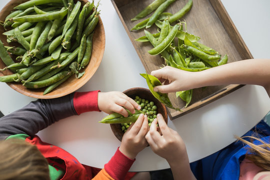 From above of crop unrecognizable boy peeling fresh green crunchy pea pods while sitting near sister in apron at table with wooden bowls in flat