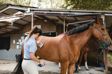 Back view of busy female rider standing near barn and grooming obedient horse with brush