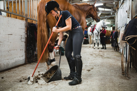 Side view of female equestrian in uniform standing in stable with horse and cleaning floor from manure - Powered by Adobe