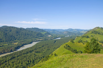 River among Altai mountains in summer beautiful landscape