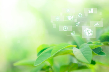 Blurred greenery background in the forest with copy space, Sustainable energy with technology icon, Environmental and Ecology concept.landscape, ecology, fresh wallpaper concept.