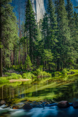 Yosemite National Park America's International Treasure