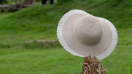 Straw hat on tree stump with blurred green background