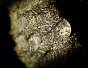 close-up of a wasp nest