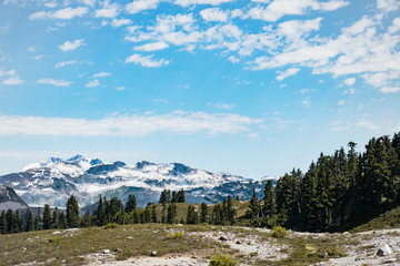 Fototapeta na wymiar mountain landscape with snow and trees