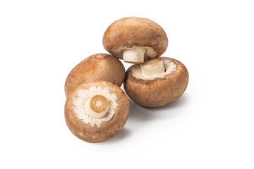 Tasty mushroom isolated on white background.