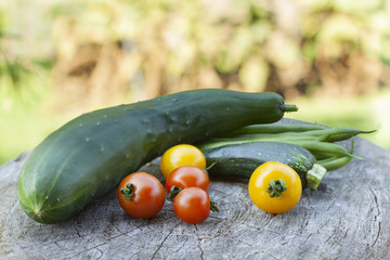 healthy fresh vegetables from home garden