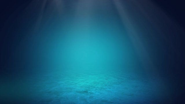 underwater scene with rays