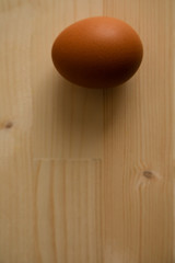 木の上の茶色い卵