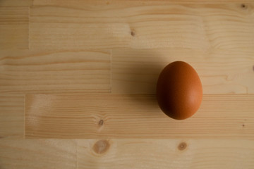 木の上の茶色い卵