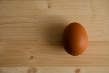 木の上の茶色い卵