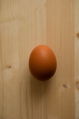 木の上の茶色い卵