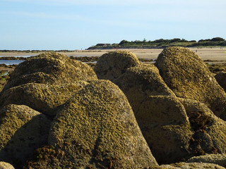 Cailloux découverts à marée basse