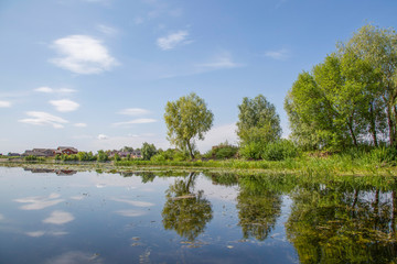 summer landscape with lake