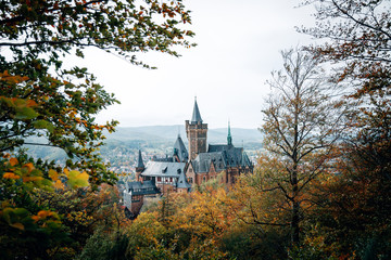 Obraz premium Schloss im Wald