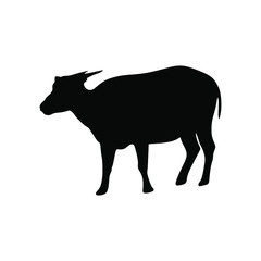 anoa silhouette vector animal art