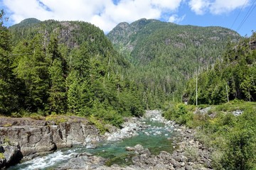  Wally Creek, on the way to Tofino.  The water is magical for swimming, the flowing creek water...