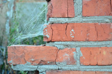 brick wall and spider web
