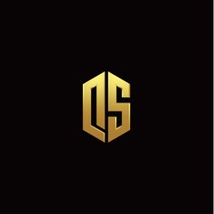 D S modern monogram style initial logo template