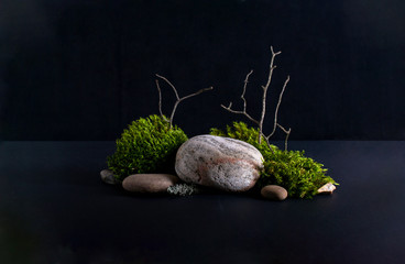 Abstract background with bark tree, moss stone podiums for products presentation or exhibitions.  Concept for natural eco organic bio cosmetic beauty product  with copy space
