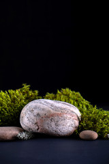 Abstract background with bark tree, moss  podiums for products presentation or exhibitions.  Concept for natural eco organic bio cosmetic beauty product  with copy space