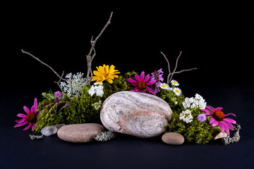 Abstract background with bark tree, moss , flowers and stone podiums for products presentation or exhibitions.  Concept for natural eco organic bio cosmetic beauty product  with copy space