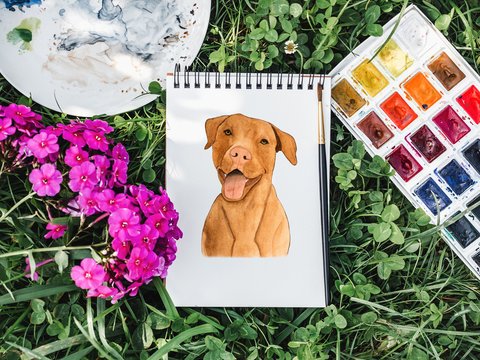 Lovable, pretty puppy of chocolate color. Beautiful drawing with watercolors. Close-up. Concept of care, education, obedience training and raising pets