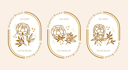 Hand drawn vintage botanical peony flower logo element collection for feminine beauty logo or brand package