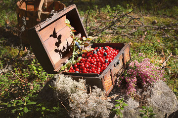 Autumn box with gifts of nature.