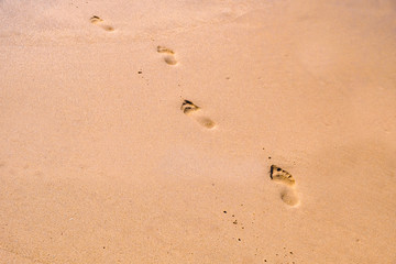 Human footprints leading away from the viewer into the sea. Empty beach, tourism concept, travelling.