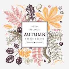 Hand sketched autumn leaves frame in color. Elegant botanical template with autumn leaves, berries, seeds sketches. Perfect for invitation, greeting cards, flyers, menu, label, packaging.