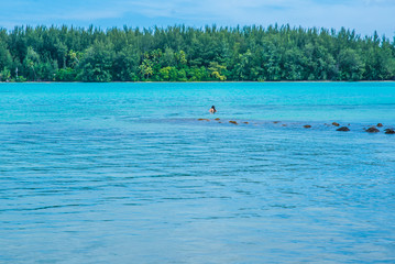 Moorea, French Polynesia: 09/03/2018: People spent their free time swimming in the blue ocean in the tropical Island of Moorea, French Polynesia