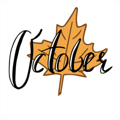 Hand drawn and written October with yellow leaf on white background